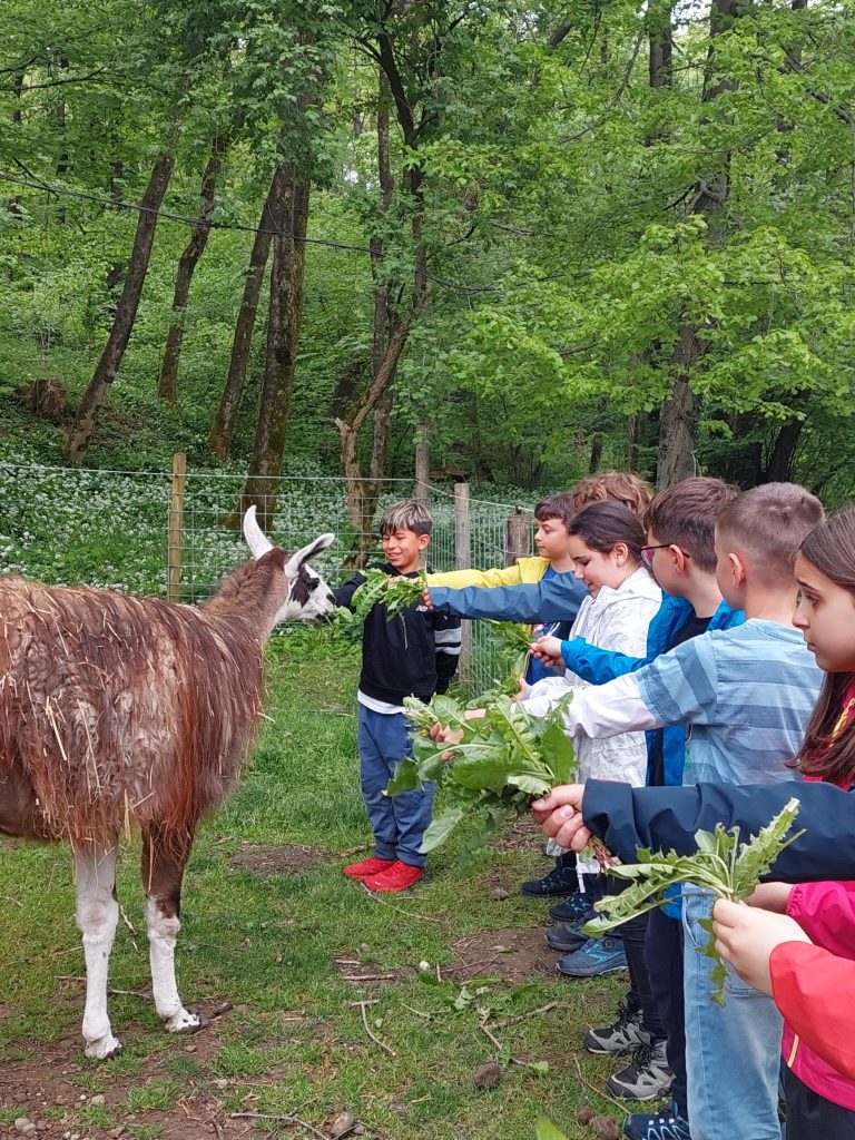 Questa immagine ha l'attributo alt vuoto; il nome del file è PHOTO-2026-04-28-21-34-47-768x1024.jpg