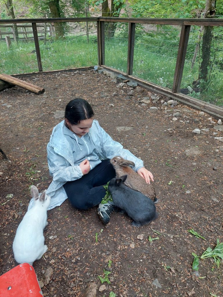 Questa immagine ha l'attributo alt vuoto; il nome del file è PHOTO-2026-04-28-21-34-48-3-768x1024.jpg