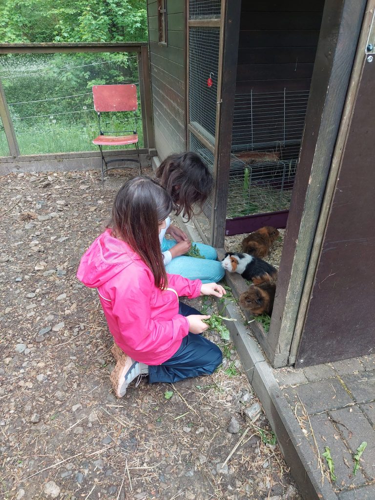 Questa immagine ha l'attributo alt vuoto; il nome del file è PHOTO-2026-04-28-21-45-08-2-768x1024.jpg