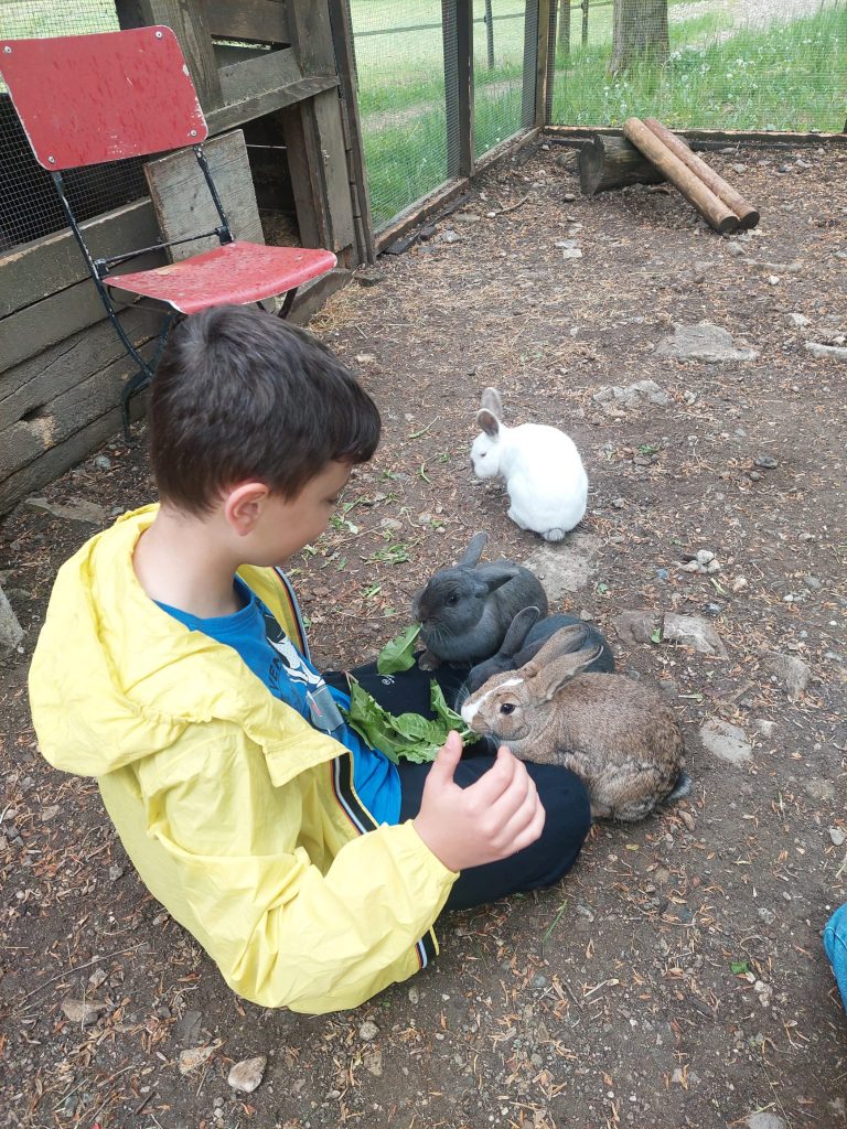 Questa immagine ha l'attributo alt vuoto; il nome del file è PHOTO-2026-04-28-21-45-08-768x1024.jpg